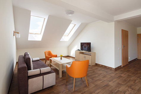 Купить Мансардное окно FAKRO STANDART FTS-V U2 94х118см - изображение 8